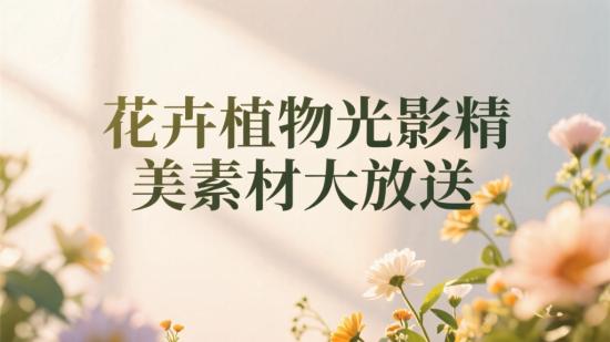 花卉植物光影精美素材大放送