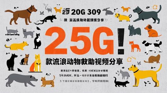 25G！309款流浪动物救助视频分享