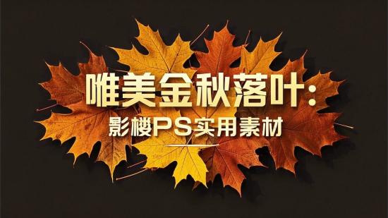 唯美金秋落叶：影楼PS实用素材
