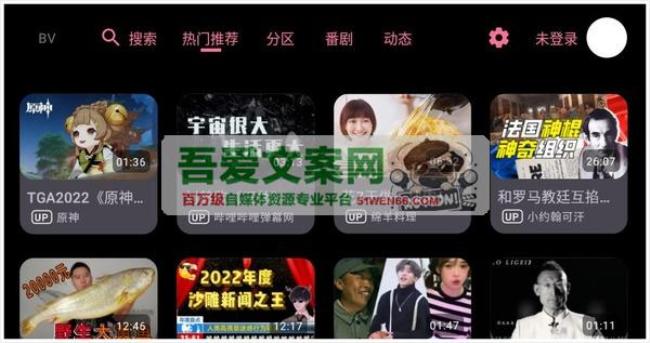 BV 第三方哔哩哔哩客户端（支持动态_杜比视界）V0.2.9 TV版