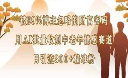 AI中老年情感赛道