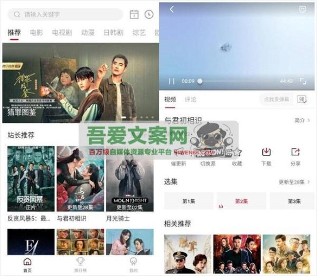 安卓星空视频APP_V3.3.6 纯净版