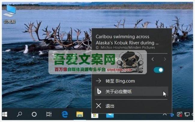 Bing Wallpaper 必应桌面壁纸软件_V2.0.1.4 PC免费版