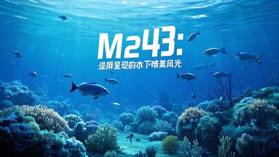 M243：竖屏呈现的水下唯美风光