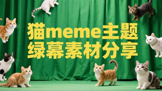 猫meme主题绿幕素材分享