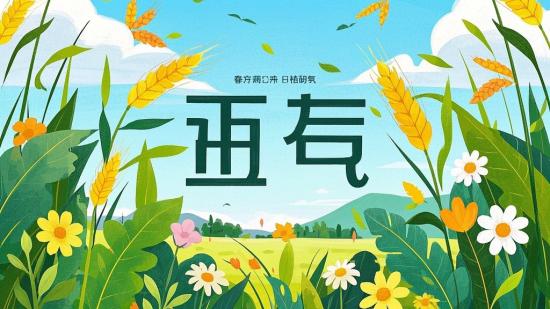 二十四节气主题PSD分层设计素材