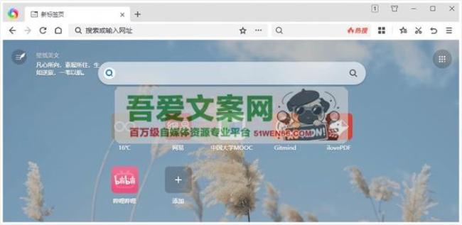 360极速浏览器X版本_V22.3.3120 PC绿色版