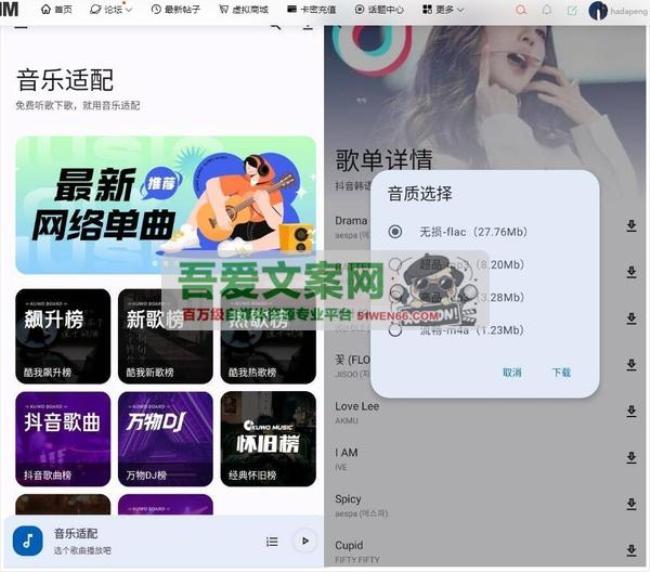 安卓音乐适配APP_V4.3 更新版