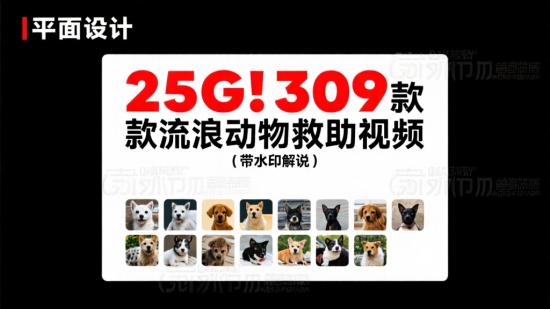 25G！309款流浪动物救助视频（带水印解说）