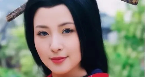 32岁卫青娶43岁寡妇平阳公主，洞房夜，卫青的表现让公主喜出望外