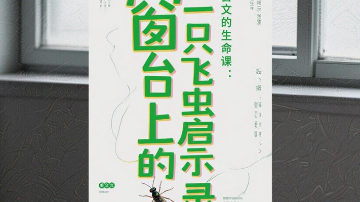 窗台上的生命课：一只飞虫启示录