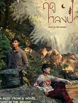 《林中爱季》：森林深处谱写的唯美爱情篇章