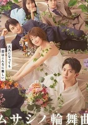 《武藏家的圆舞曲》：成人三角恋的魅力故事