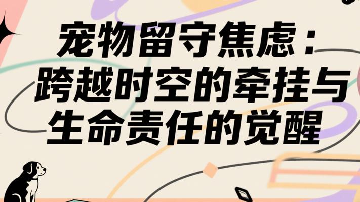 宠物留守焦虑：跨越时空的牵挂与生命责任的觉醒