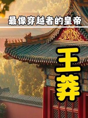 穿越者王莽传奇一生 篡位新政与刘秀恩怨及新朝兴衰