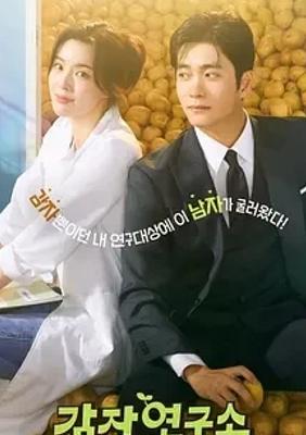 《爱情发芽中》：职场碰撞出的浪漫爱情火花