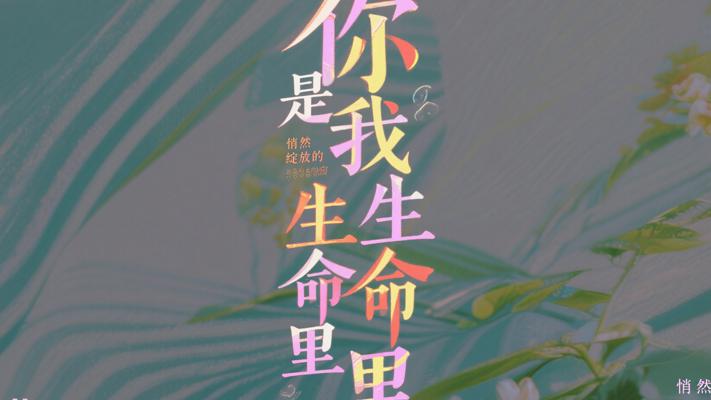 你是我生命里悄然绽放的无息花开