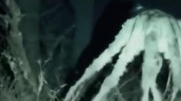 哀牢山导游奇遇：九玄寻秘与诡异禁忌的惊险故事