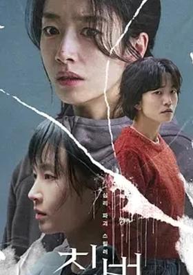 2024韩国电影侵犯1080P高清资源全面解析