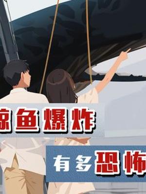 2004年台中市闹市抹香鲸爆炸揭秘鲸爆恐怖真相