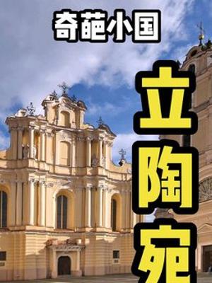 深度解析立陶宛疯狂反华背后的历史根源与应对之策