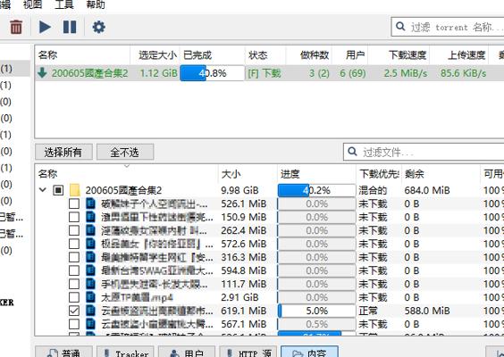 qBittorrentv5.1.0.10：免费开源BT下载神器