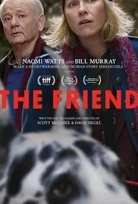 2024美国电影朋友TheFriend温情呈现