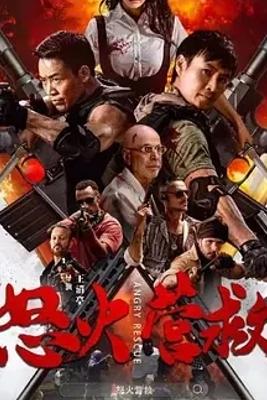 2025国产佳作怒火营救高清免费资源赏析