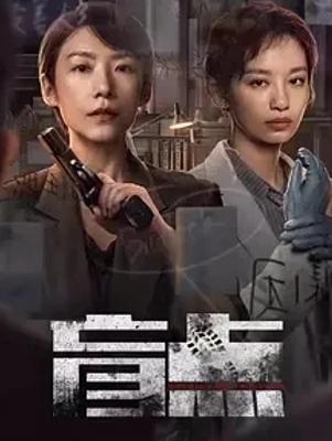 《盲点》：双女主视角下的刑侦悬疑佳作