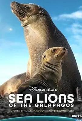 探秘加拉帕戈斯！海狮利奥成长纪录片