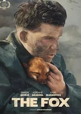 战火中的小狐狸以狐喻人展现战争与人性