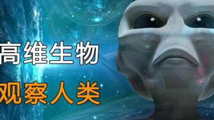 探索神秘未知的四维空间与可能存在的高维观察者