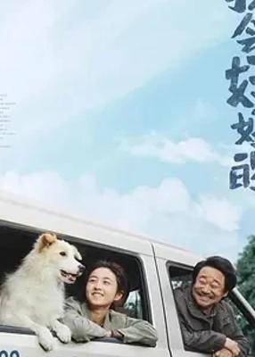 《我会好好的》：1080P高清国产电影免费畅享