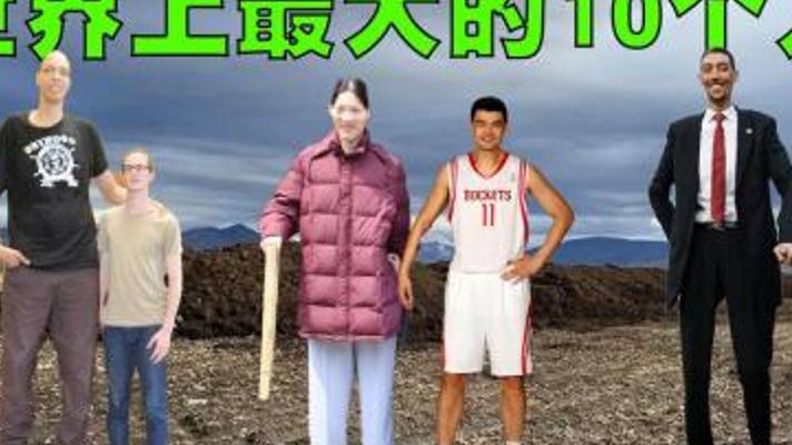 震撼揭秘世界十大巨人 姚明在他们面前竟如此娇小