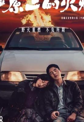 《平原上的火焰》：1080P高清国产电影的魅力