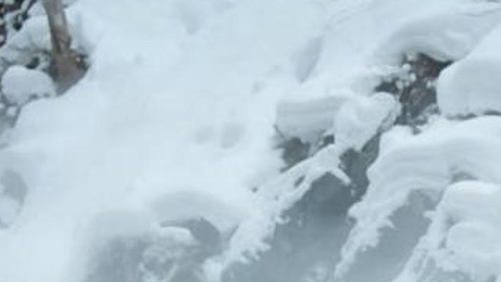 温泉猴群生活趣事：泡澡打闹与猴宝温情时刻全纪录