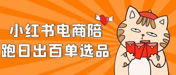 小红书电商陪跑日出百单选品【】