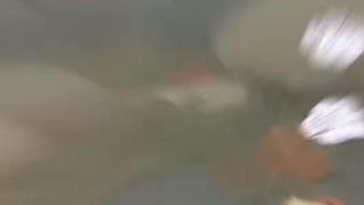 高空跳伞降落伞失灵时的求生方法与关键要点