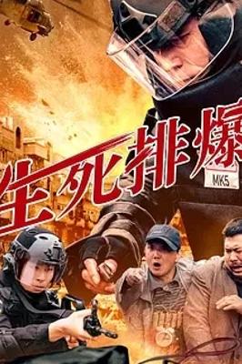 《生死排爆2025》：排爆惊险背后的人性与责任