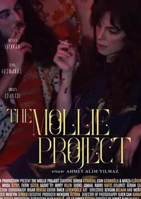 2025土耳其恐怖佳作莫莉计划高清资源解析