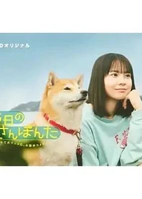 《今日份的散步》：人犬相伴间的温馨治愈之旅