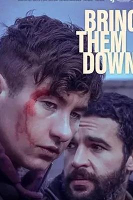 2024爱尔兰电影打倒他们剧情与特色介绍