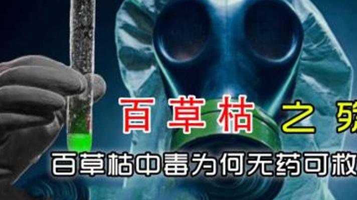 百草枯为何无药可救 被喝到停产的致命农药真相