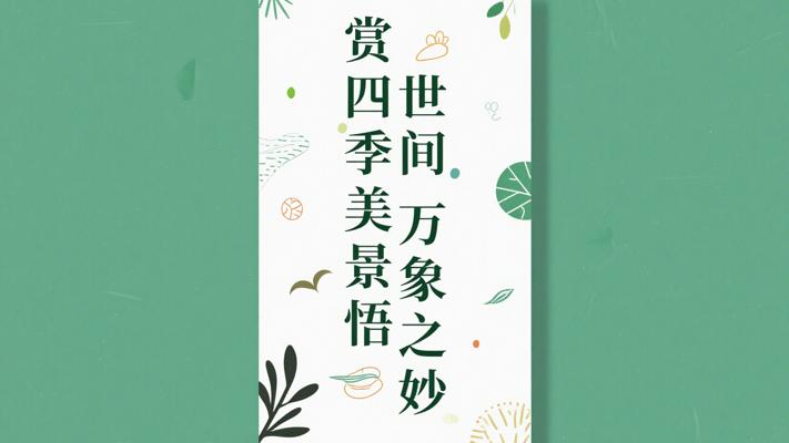 赏四季美景悟世间万象之妙