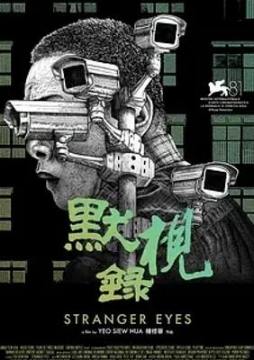 2024年默视录StrangerEyes电影佳作介绍