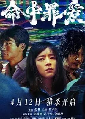 2025国产悬疑佳作命中罪爱剧情全解析