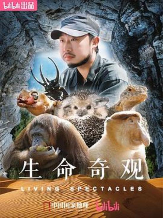 《生命奇观》无法上映的国产好片，一上线就爆了