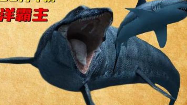 探秘7000万年前海洋霸主沧龙的兴衰传奇故事