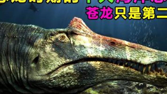 探寻地球史上五大恐怖海洋恐龙的神秘面纱