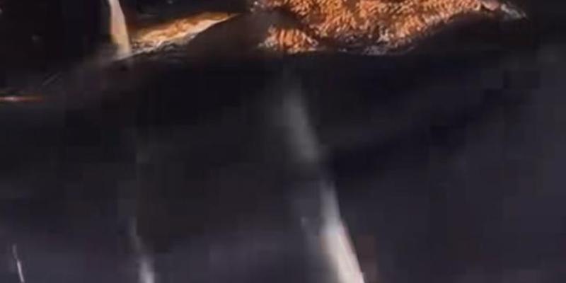 部队罗布泊营救教授遭遇诡异录音与未知危险故事